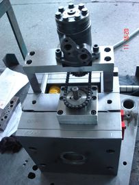 Customized Cavities Hot Runner Injection Mould with PP , ABS , HDPE , PE